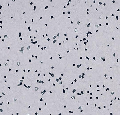 Линолеум Forbo Sphera Ec 450032 soft lilac фото 1 | FLOORDEALER